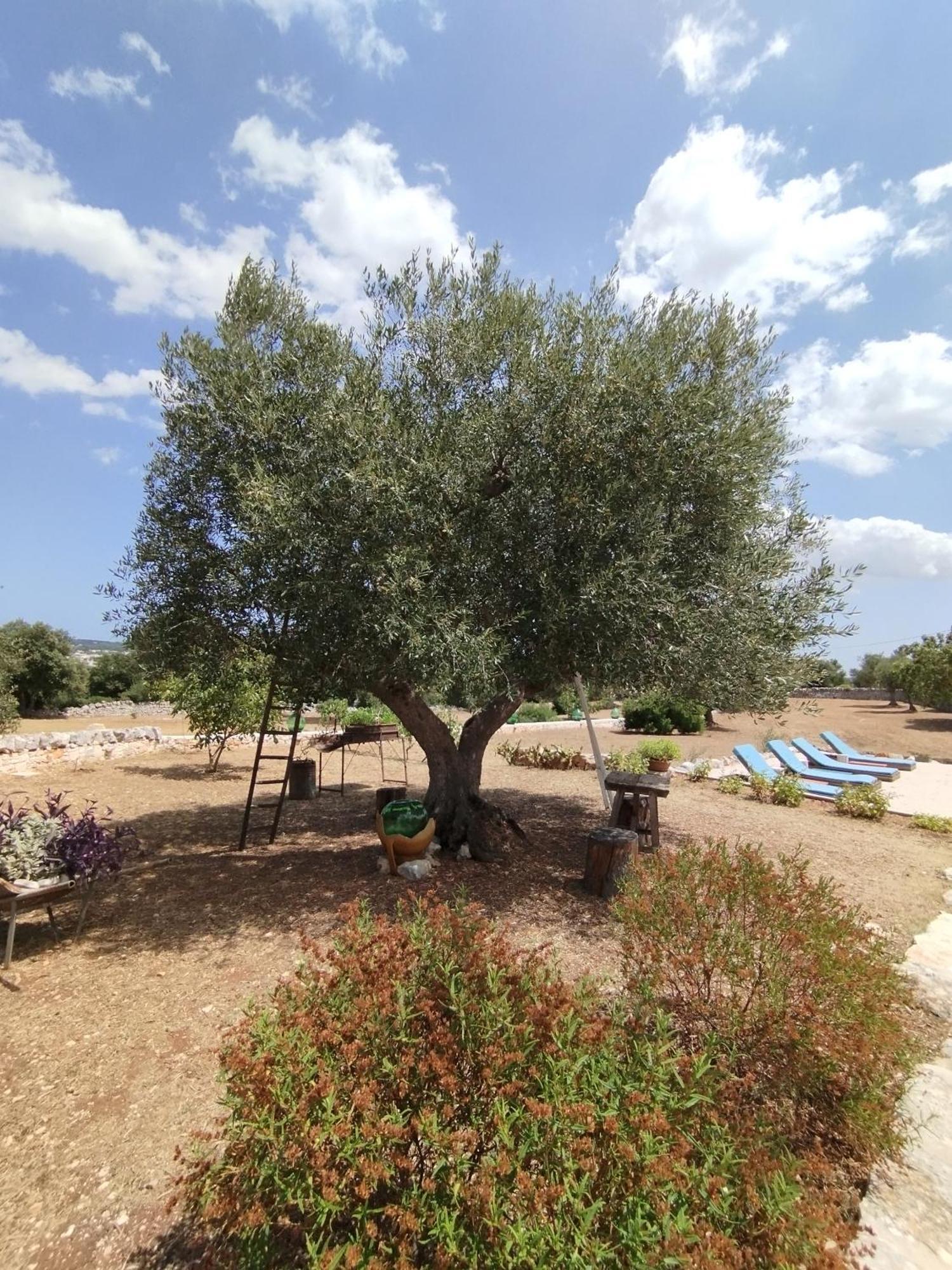 Villa Trullo Gio Cisternino Exterior foto