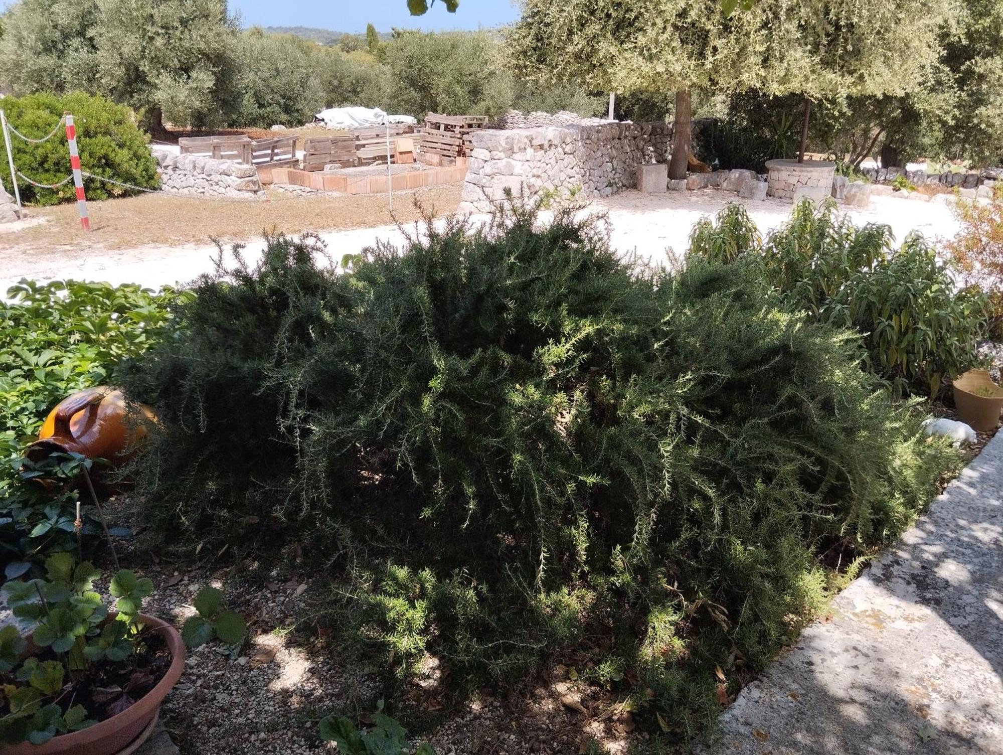Villa Trullo Gio Cisternino Exterior foto