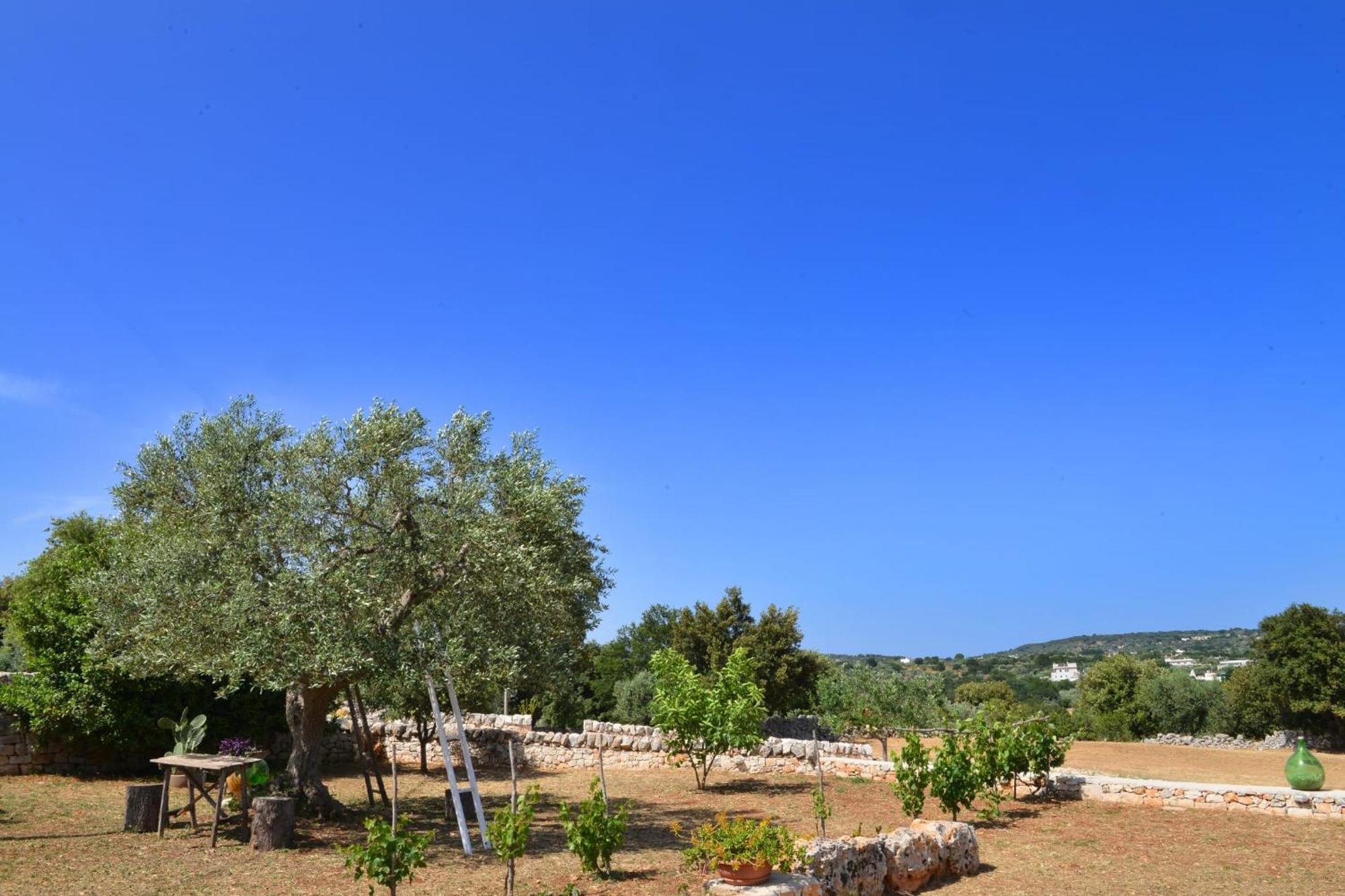 Villa Trullo Gio Cisternino Exterior foto